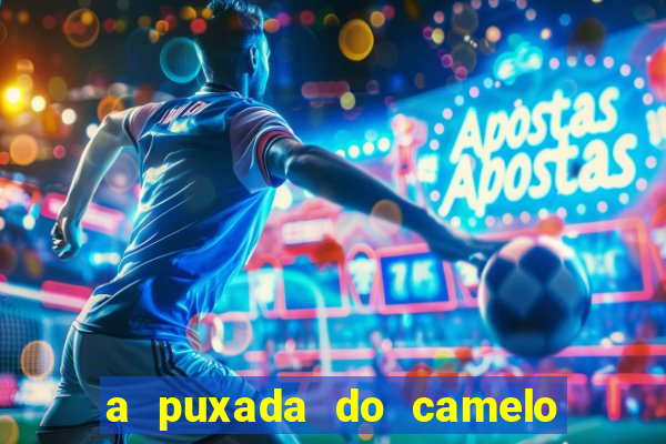 a puxada do camelo no jogo do bicho